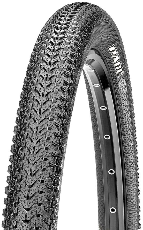 Maxxis Pace Mountain Bike Tyre (exo-tr)  Black
