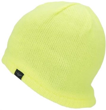 Sealskinz Waterproof Cold Weather Beanie