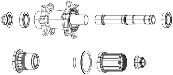 Zipp Spring And Pawl Set