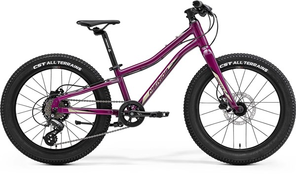 Merida Matts J.20 2023 - Kids Bike