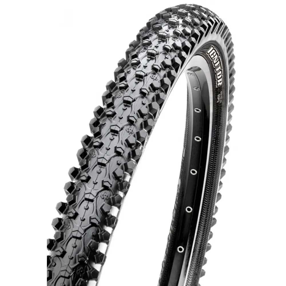 Maxxis Ignitor 29 Inch Folding/exo/tr Tyre