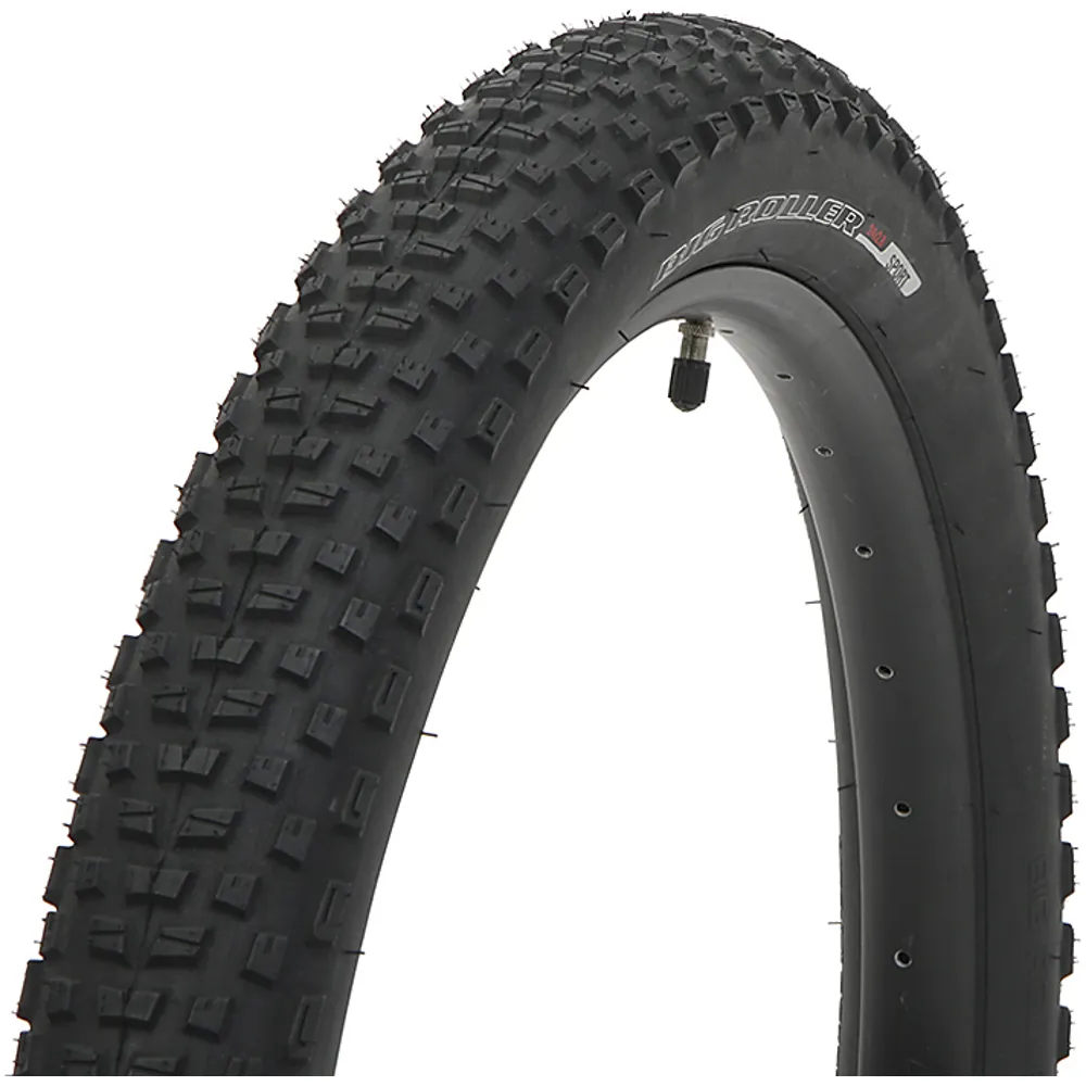 Specialized Big Roller 20x2.8 Tyre